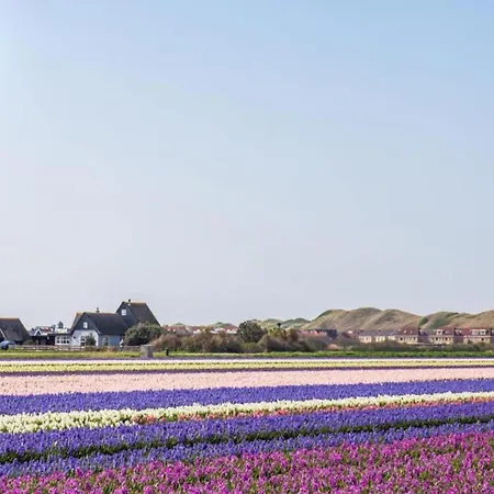 In By The Sea Julianadorp