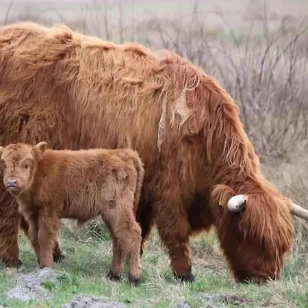 In By The Sea Apartament *