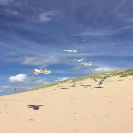 Apartament In By The Sea *