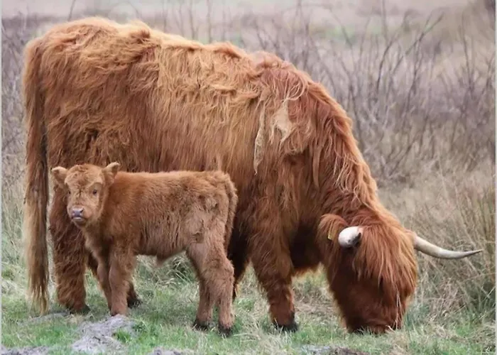 In By The Sea 아파트 *