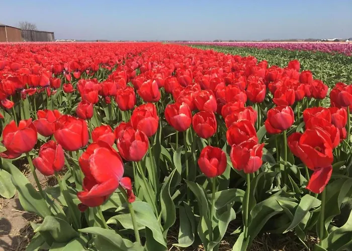 In By The Sea 아파트 줄리아나도르프