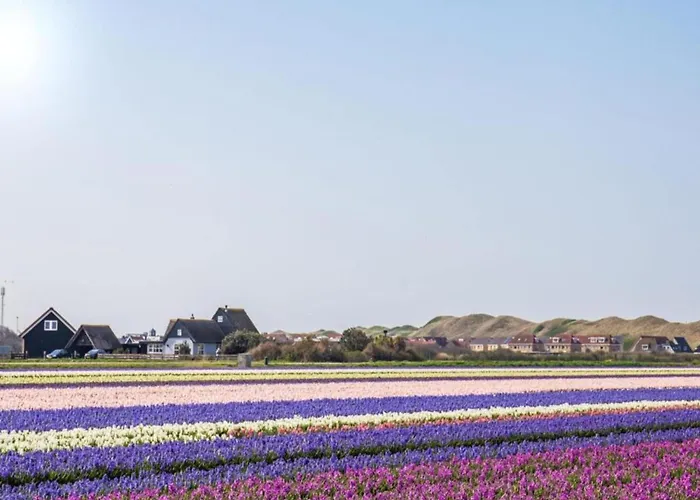 In By The Sea 朱丽安娜多普