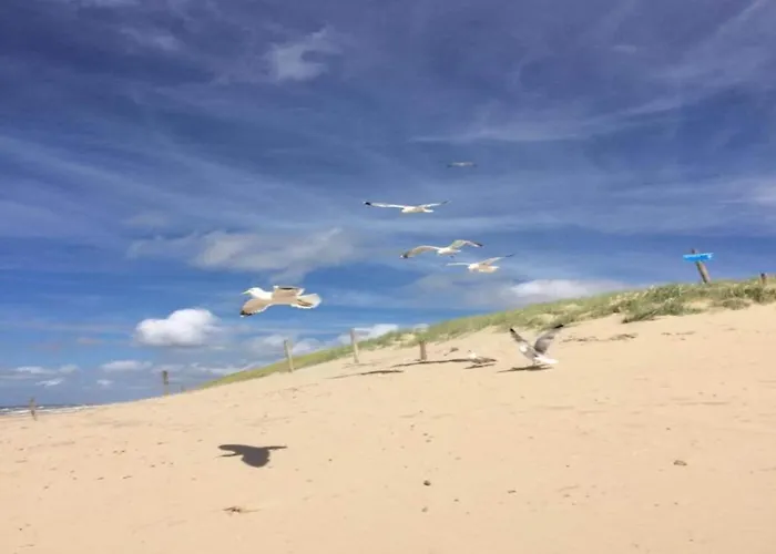 公寓 In By The Sea *